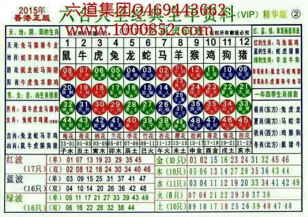 2024十二生肖49码表,调整方案执行细节_vShop24.314