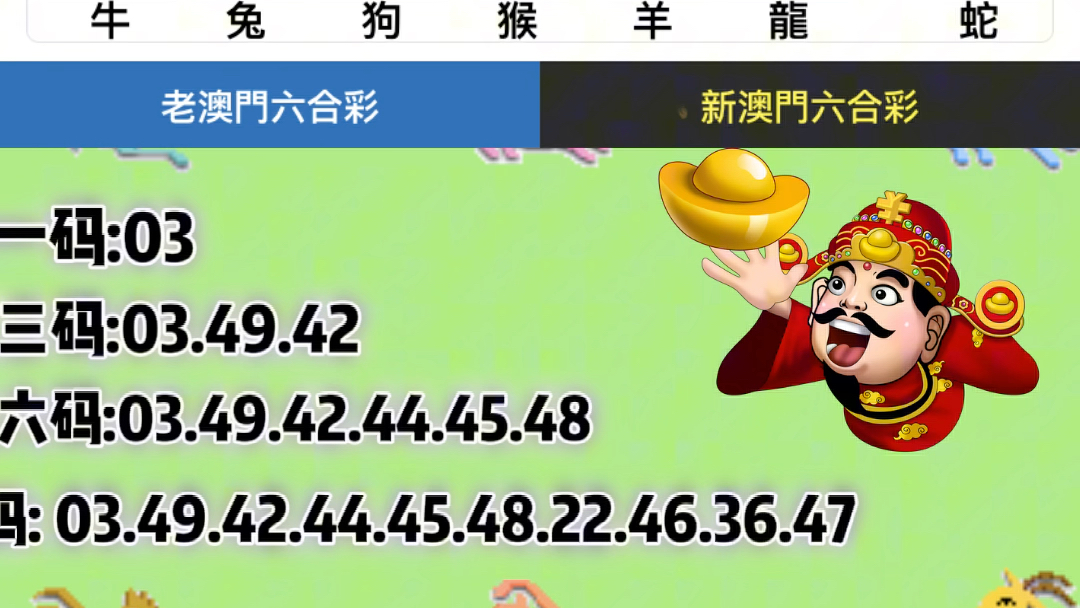 新澳门六开奖结果记录,高效解析说明_粉丝款42.848