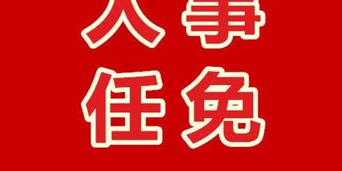 襄阳市最新人事任免动态